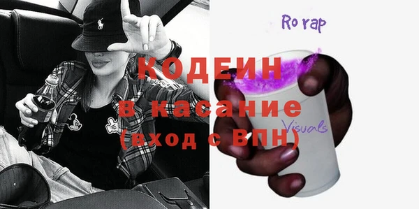 индика Приозерск