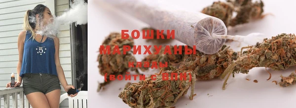 ПСИЛОЦИБИНОВЫЕ ГРИБЫ Верея
