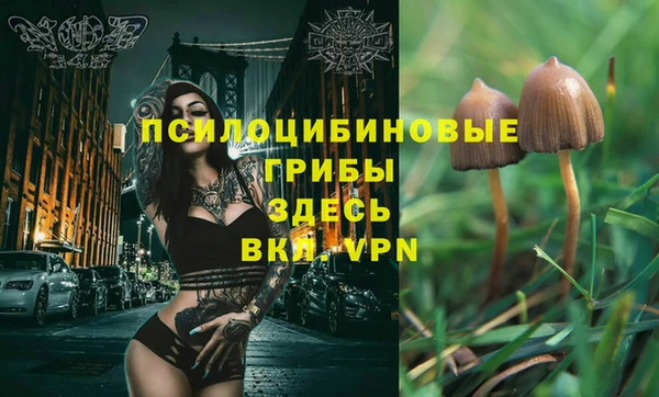 ПСИЛОЦИБИНОВЫЕ ГРИБЫ Верея