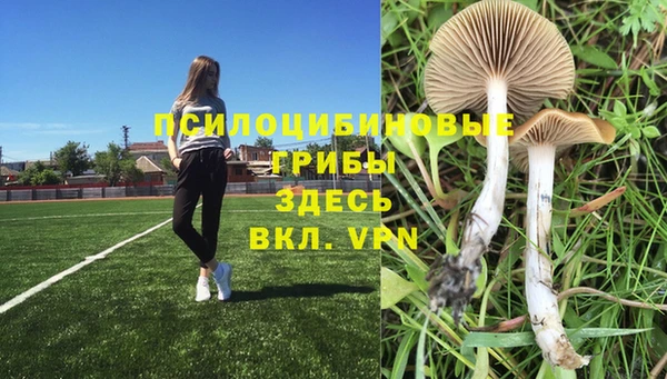 круглые Верхний Тагил