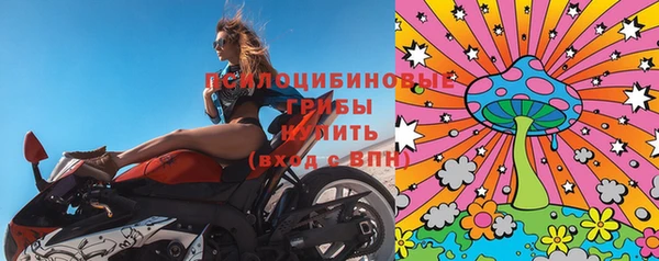 ПСИЛОЦИБИНОВЫЕ ГРИБЫ Верея