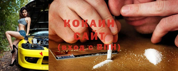 ПСИЛОЦИБИНОВЫЕ ГРИБЫ Верея