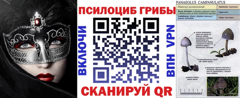 ОМГ ОМГ ссылка  где купить наркоту  Щучье  Галлюциногенные грибы ЛСД 